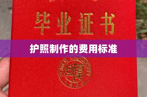芷江护照制作的费用标准