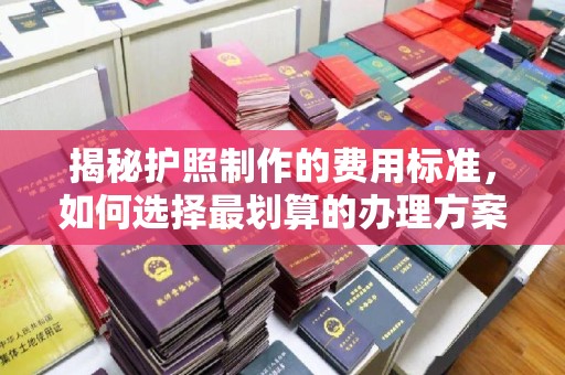 芷江揭秘护照制作的费用标准，如何选择最划算的办理方案？