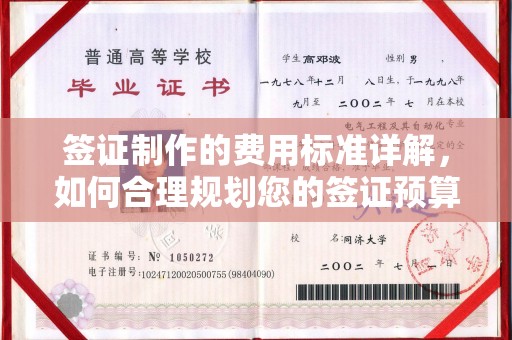 芷江签证制作的费用标准详解，如何合理规划您的签证预算