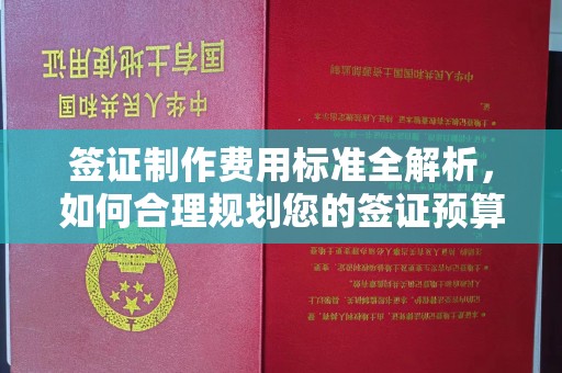 芷江签证制作费用标准全解析，如何合理规划您的签证预算？